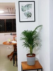 Blk 561 Cheng San Place (Ang Mo Kio), HDB 3 Rooms #620206461